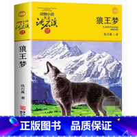 狼王梦 [正版]全套任选狼王梦警犬拉拉沈石溪的动物小说系列斑羚飞渡第七条猎狗后一头战象全集书籍小学生三四五六年级儿童文学