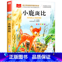 小鹿斑比 [正版]小鹿斑比/彩图注音版/大语文--小学语文课外阅读经典丛书 低年级小学生课外书一二年级睡前故事书儿童文学