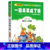 一园青菜成了精 [正版]4本28元一园青菜成了精彩图注音版儿童一年级二年级课外阅读故事带拼音书阅读1一园子2一团蔬菜一元