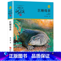 巨蜥母亲 [正版]完整版巨蜥母亲全本沈石溪的图书籍动物小说大王品藏系列小学生四五六年级儿童文学作品珍藏大全全集1全套单本
