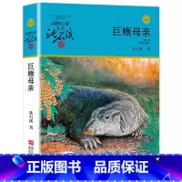 巨蜥母亲 [正版]完整版巨蜥母亲全本沈石溪的图书籍动物小说大王品藏系列小学生四五六年级儿童文学作品珍藏大全全集1全套单本