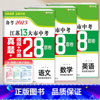 [3本套装]语数英(真题+真题分类) [正版]壹学备考2025年江苏省十三大市中考试卷真题分类精编28套卷语文数学英语物