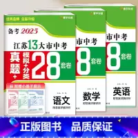 [3本套装]语数英(真题+真题分类) [正版]壹学备考2025年江苏省十三大市中考试卷真题分类精编28套卷语文数学英语物