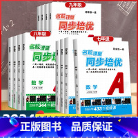 数学-人教版[全套视频解答] 七年级上 [正版]2024秋名校课堂周末练一练同步培优七八九年级初一二三数学英语物理上下册
