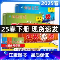 语文+数学+英语(3本)-江苏专用 二年级下 [正版]2025春新版江苏密卷一二三四五六年级上下册期中期末卷语文数学英语