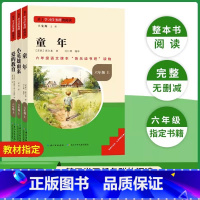 [全套3册]六年级上册快乐读书吧 [正版]快乐读书吧六年级上册6童年小英雄雨来爱的教育必读名著全套3册小学生必读课外阅读
