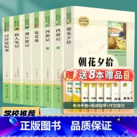 [七年级上册必读+选读]全套7本-送8本赠品 [正版]朝花夕拾西游记七年级上册必读书鲁迅原著猎人笔记白洋淀纪事镜花缘人民