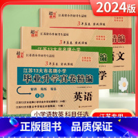 [3套]小升初真卷精编-语数英 小学升初中 [正版]江苏小升初真题卷2024毕业升学考试试卷真卷精编语文人教数学英语苏教