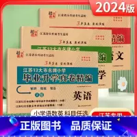 [3套]小升初真卷精编-语数英 小学升初中 [正版]江苏小升初真题卷2024毕业升学考试试卷真卷精编语文人教数学英语苏教