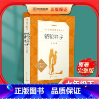 [正版]骆驼祥子七年级下册必读课外书老舍原著无删减初一初中生版人教版中学生读物课外阅读书籍世界名著人民文学出版社海底两