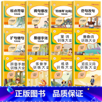[共12本]全套训练大全+专项训练(语文) [正版]词语积累大全训练 量词重叠词词语大全训练aabb式小学语文字词语专项