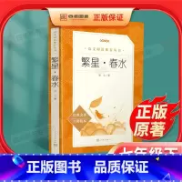 [正版]繁星春水 人民文学出版社 冰心儿童文学原著小学生三四五六年级课外阅读书籍必读书目 小学语文阅读丛书初中生课外