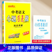 中考-语文 阅读理解 初中通用 [正版]备考2025中考小题狂做语文数学英语物理化学提优版初三9年级中考总复习资料专项题