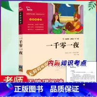 [正版]一千零一夜书籍儿童故事书五年级必读课外书快乐读书吧老师名著小学生课外阅读书籍文学读物无删减经典童话故事全集