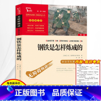 [正版]钢铁是怎样炼成的初中原著八年级下册原版完整版初中生8下必读课外书小学生课外阅读书籍初二读世界名著无删减傅雷家书