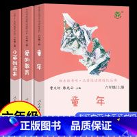 3本]六年级上册人教版 [正版]童年书高尔基爱的教育小英雄雨来原著人民教育出版社六年级上册下册必读课外书快乐读书吧汤姆鲁