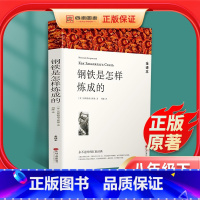 [正版]钢铁是怎样炼成的初中原著八年级下册原版完整版人民教育出版社初中生必读人教版课外书阅读书籍世界文学名著和傅雷家书