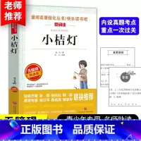 小桔灯 [正版]小桔灯 冰心著 爱阅读课程化丛书快乐读书吧无障碍精读版四五六年级语文阅读书目 经典文学名作课外阅读小橘灯