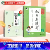 [3本★语文]真题+积累+句式 三年级下 [正版]2024春53小学基础练语文积累与默写句式训练大全三年级上下册通用版阅
