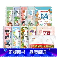 [10本套装]95%的宝妈选择(全面掌握常识知识〉 [正版]宝宝撕拉书识字启蒙游戏书幼儿识字早教魔术贴识字卡片幼儿认字神