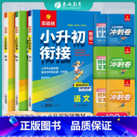 小升初衔接[3本]-语文+数学+英语 小学升初中 [正版]2024新版春雨小升初衔接真题卷语文数学英语必刷题人教版小学毕