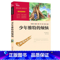 少年维特的烦恼 [正版]少年维特的烦恼无障碍阅读中小学三四五六年级课外书南方出版