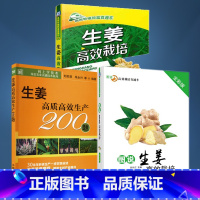 [正版]全3册 图说生姜高效栽培全彩版+生姜高效栽培+生姜高质高效生产200题 种植技术大全书籍 病虫害防治技术 科学