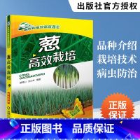 [正版]葱高效栽培 栽葱技术书从入门到精通 分葱高效栽培技术 大葱种子生产技术 大葱病虫害诊断与防治技术 科学种大葱