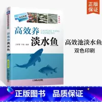 [正版]养鱼书籍技术 大全一本通 草鱼养鱼书 高效养淡水鱼 高效养殖致富直通车 养殖鱼病图谱书如何养鱼资料书饲料配方