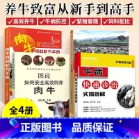 [正版]养牛套装全4册 养牛技术书籍大全牛病类症鉴别与诊治肉牛养殖技术书黄牛诊疗与处方手册牛饲料配方书科学养牛西门塔尔