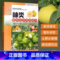 [正版]图说柚类优质高效栽培技术 柚子种植技术 柚类栽培果园规划与建园果树修剪栽培病虫害防治书 沙田柚红肉蜜柚栽培书籍