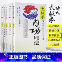 杨氏太极拳2[行拳心法] [正版]全5册 太极拳内功理法+行拳心法+拆架拆手+内功修炼法+劲法 武功功夫秘籍杨氏太极拳谱