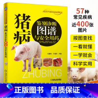 [正版]猪病鉴别诊断图谱与安全用药 养猪技术书大全猪病诊治与用药兽药兽医猪养殖猪饲料配方图解与鉴别书籍养猪场设计教程母