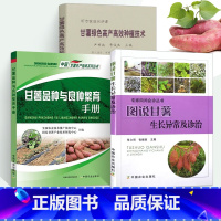 [正版]红薯种植技术 图说甘薯生长异常及诊治+绿色高产高效种植技术+品种与良种繁育手册全3册红薯山芋地瓜高效栽培书籍疾