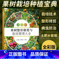 [正版]全图解果树修剪与栽培管理大全 果树种植嫁接技术书修剪书籍桃树草莓无花果苹果大樱桃蓝莓石榴猕猴桃柑橘葡萄病虫
