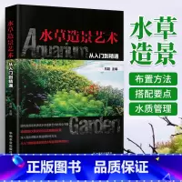 [正版]水族箱造景书 水草造景艺术 从入门到精通水草鱼缸草缸书籍栽培与造景艺术布景设计入门生态水族馆布景装饰养过滤指导