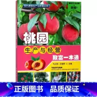 [正版]桃园生产与经营致富一本通 水蜜桃黄桃蟠桃无公害桃树栽培种植技术书籍 高效种植桃树病虫害诊断防治 果园开发建设管