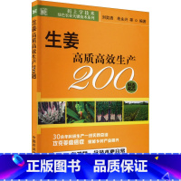 [正版]生姜高质高效生产200题 刘奕清等 码上学技术 绿色农业关键技术系列 老姜 新姜 姜蒜调料种植技术生姜栽培种植
