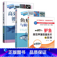 [正版]鲈鱼高效养殖致富技术与实例+高效池塘养鱼+鱼病快速诊断与防治 全3册 养鱼技术书鱼病加州鲈鱼养殖技术养殖书籍大