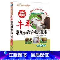 [正版]牛羊常见病诊治实用技术 视频升级版 养牛书籍大全牛病全书兽医牛饲料配方肉牛养殖技术书繁殖诊断及母牛饲养管理手册