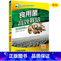 [正版]食用菌高效栽培 菌类农业种植技术大全书籍 菌种菇种食用菌书病害防治书 食用菌栽培基础知识菌种制作 液体菌种的生