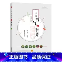 [正版]二十四节气话种菜春夏秋冬四季蔬果种植技术节气气候要点和设施日光温室大棚蔬菜水果番茄黄瓜栽培教程蔬菜园艺书籍