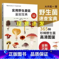 野果识别与利用指南+ 实用野生蘑菇鉴别宝典 [正版]实用蘑菇鉴别宝典 大作晃一吹春俊光蘑菇使用图鉴书籍食用蘑菇菌菇松茸菌