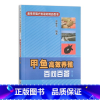 [正版]甲鱼高效养殖百问百答 第二版 甲鱼养殖业 甲鱼健康养殖 甲鱼病害防治书籍 甲鱼种苗繁育书 甲鱼饲料配比 甲鱼养