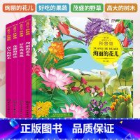 童眼识天下 4册 [正版]童眼识天下科普馆.高大的树木+茂盛的野草+好吃的果蔬+绚丽的花儿 全4册 亲子互动阅读 儿童读