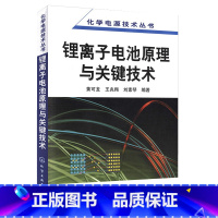 [正版]电源技术锂离子电池原理关键技术制造工艺原理与应用电池组设计手册书籍锂元素正负极三元材料解析电解质物理基础科学与