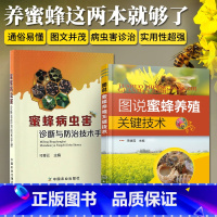 [正版]图说蜜蜂养殖关键技术+蜜蜂病虫害诊断与防治技术手册 全2册 养蜂书籍大全技术养蜜蜂教程书高效中蜂养殖蜂病防治蜂
