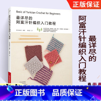 [正版]详尽的阿富汗针编织入门教程 毛线手工编织教程书服饰小物件小饰品书籍编织书籍大全花样加减针技法图解手工书籍