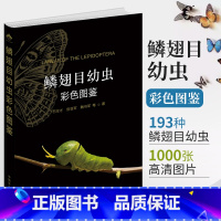 [正版]鳞翅目幼虫彩色图鉴 幼虫彩色图鉴28173石宝才 宫亚军 魏书军 陈金翠 马丽君 曹利军 鳞翅目 幼虫 彩色图