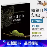 [正版]鳞翅目幼虫彩色图鉴 幼虫彩色图鉴28173石宝才 宫亚军 魏书军 陈金翠 马丽君 曹利军 鳞翅目 幼虫 彩色图